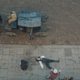 Image for article titled On Jonathan Strange & Mr. Norrell War Is Hell, And So Are People